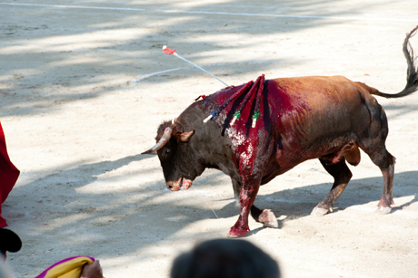 Viande malsaine d’animaux torturés pour le plaisir : c’est bon pour les pauvres…