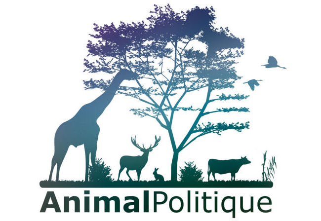 Le manifeste Animal Politique