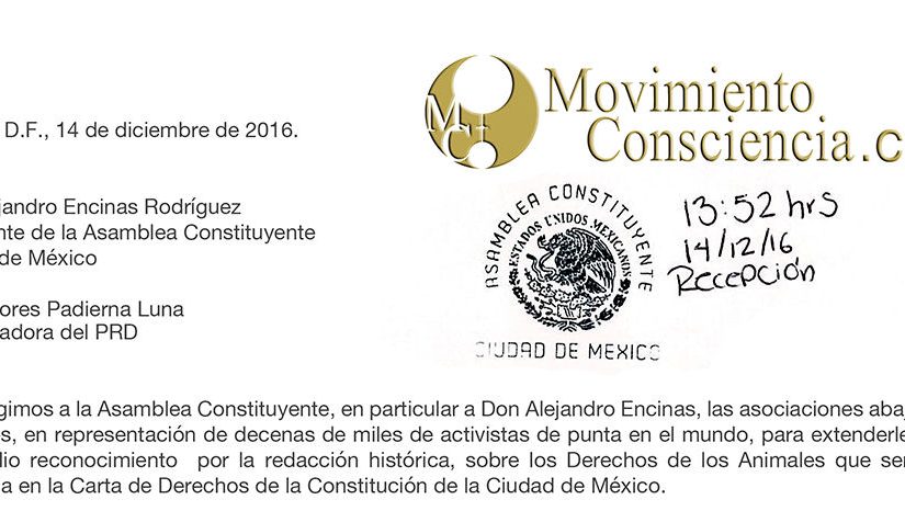 Des organisations animalistes internationales s’adressent au président de l’Assemblée Constituante de Mexico