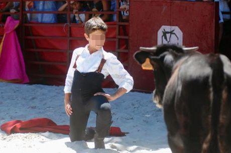 En France, les apprentis toreros tuent des veaux dès l’âge de 13 ans dans des arènes privées
