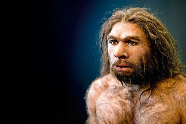 Non, Cro-Magnon et Néandertal ne sont pas les premiers toreros !